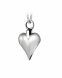 Joyería para ceniza corazón de plata