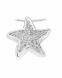 Joyería para ceniza plata 'Estrella' (piedra zirconia)