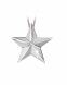 Joyería para cenizas estrella oro blanco con brillantes 0.05crt.