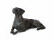 Urna escultura perro 'Perro crestado rodesiano'
