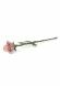 Miniurna con forma de rosa