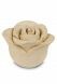Miniurna rosa 'Almost White'