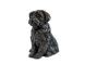 Shih Tzu urna para perro