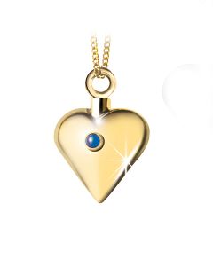 Bijou cendres commémoratif cinéraire en or 14 carat petit cur