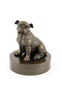 Bulldog urne d'laiton