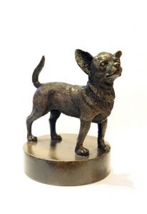 Chihuahua urne d'laiton