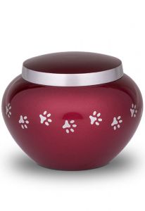 Urna mascota roja con huellas | pequeño