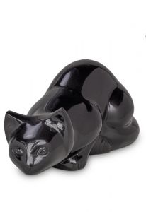 Urna de gato negro