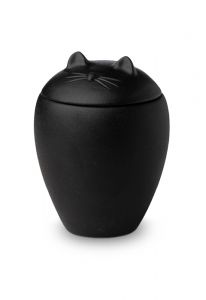 Urna para gato negro