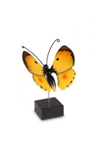 Miniurna mariposa 'Colias Pálida'