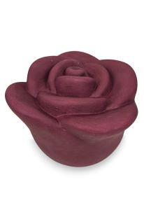 Miniurna rosa 'Roja'