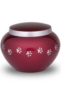 Urna mascota roja con huellas | medio